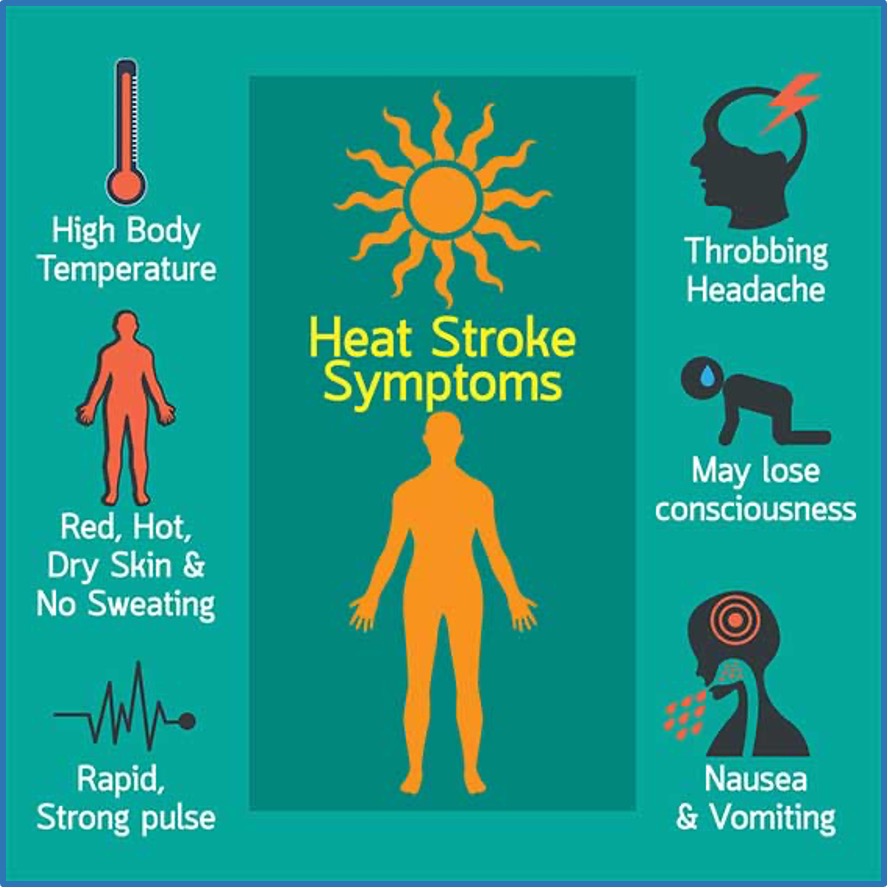 Tips to Beat the summer heat
